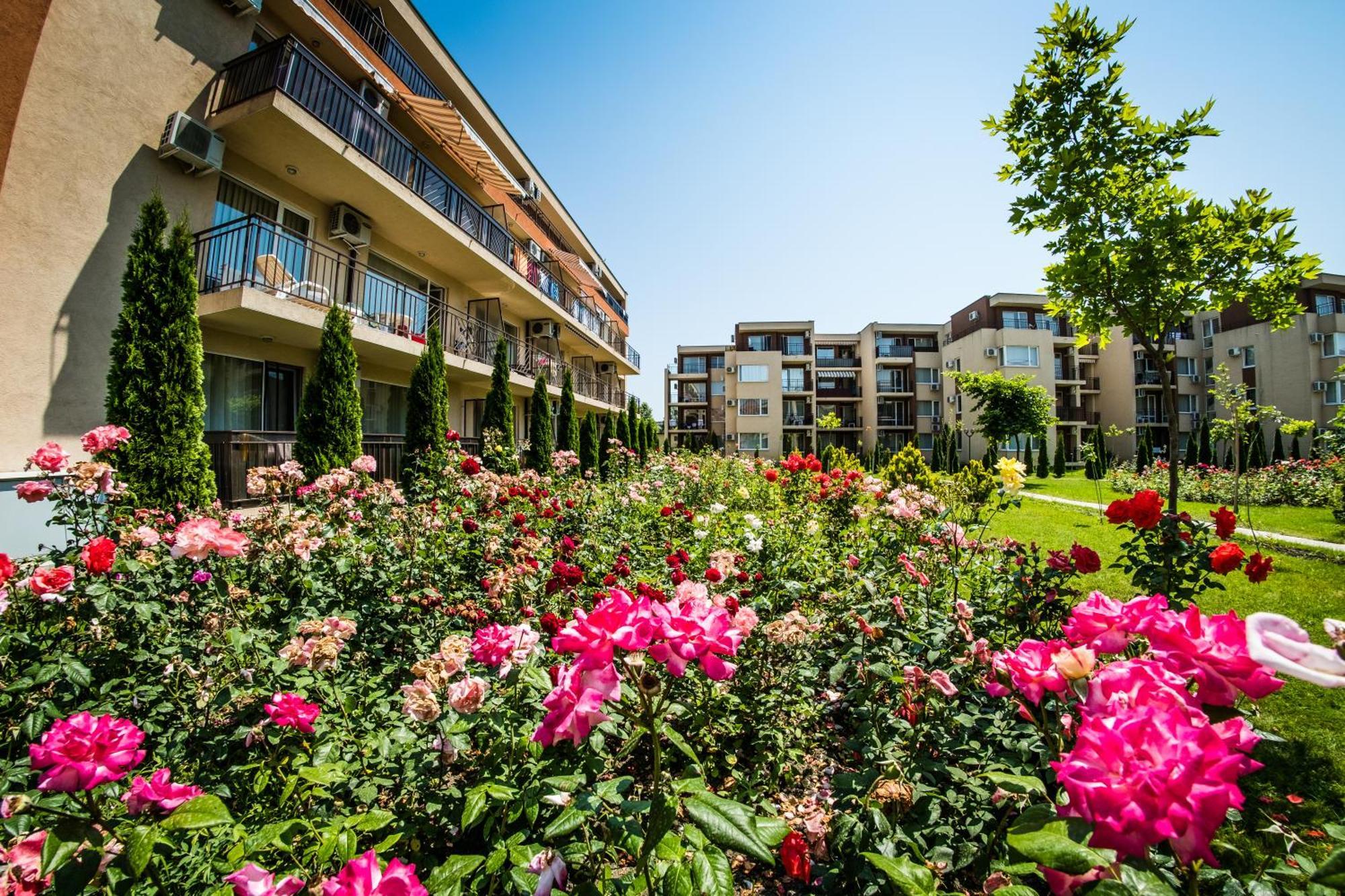 Apartament And Orchid Noks